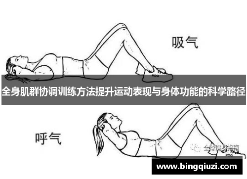 全身肌群协调训练方法提升运动表现与身体功能的科学路径