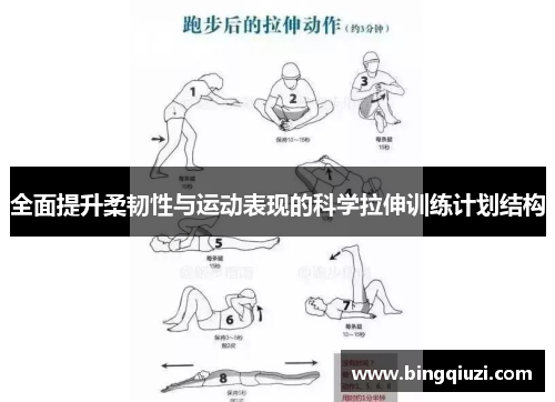 全面提升柔韧性与运动表现的科学拉伸训练计划结构