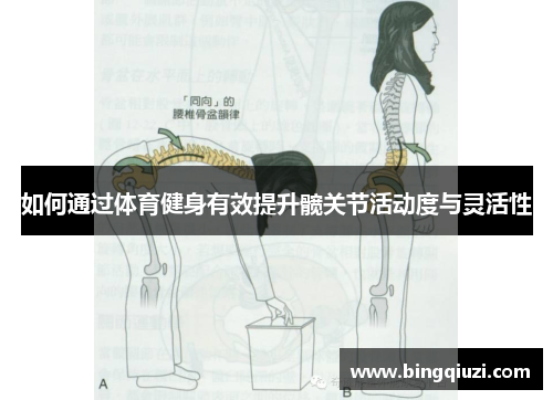 如何通过体育健身有效提升髋关节活动度与灵活性