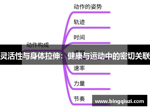 灵活性与身体拉伸：健康与运动中的密切关联