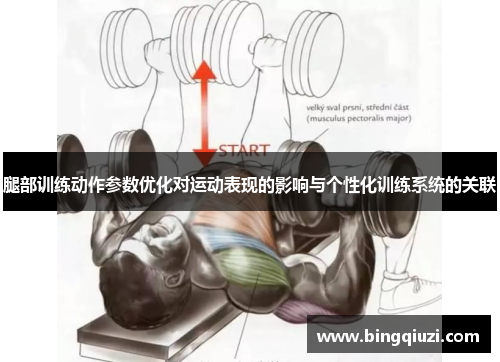 腿部训练动作参数优化对运动表现的影响与个性化训练系统的关联